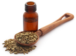 Fennel seeds with essential oil