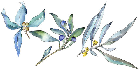 Blauwe elaeagnus bladeren in een aquarel stijl geïsoleerd. Aquarelle blad voor achtergrond, textuur, wikkelpatroon, frame of rand.
