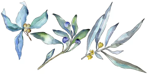 Behang Aquarel natuur set Blauwe elaeagnus bladeren in een aquarel stijl geïsoleerd. Aquarelle blad voor achtergrond, textuur, wikkelpatroon, frame of rand.