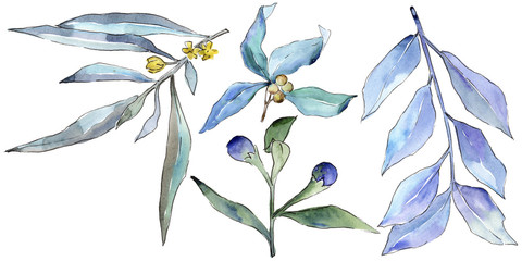 Blaue Elaeagnus-Blätter im Aquarell-Stil isoliert. Aquarellblatt für Hintergrund, Textur, Wrapper-Muster, Rahmen oder Rand.