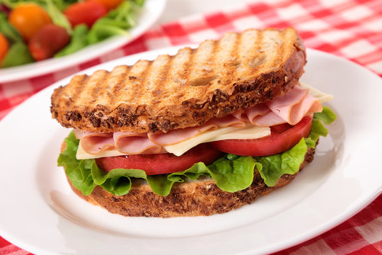 Picnic toasted ham and cheese sandwich with salad