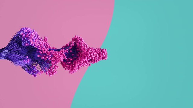 Organic growth of an abstract imaginary plant blooming with vivid pink and blue spheres on a twisted purple stems. 3D render animation with alpha mask.