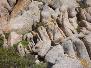 Granite rocks with mediterranean vegetation, Capo Testa, Santa Teresa Gallura, Italy