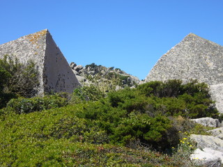 Fototapeta na wymiar Granite rocks with mediterranean vegetation, Capo Testa, Santa Teresa Gallura, Italy