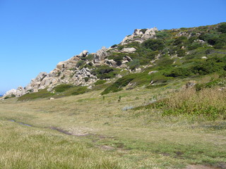 Fototapeta na wymiar Granite rocks with mediterranean vegetation, Moon's Valley, Capo Testa, Santa Teresa Gallura, Italy