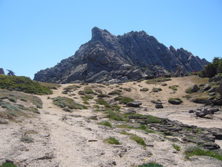 Granite rocks with mediterranean vegetation, Moon's Valley, Capo Testa, Santa Teresa Gallura, Italy