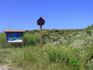 Blue sky and amazing sea, granite rocks with mediterranean vegetation, moon Valley, Valle della Luna, Capo Testa, Santa Teresa Gallura, Italy