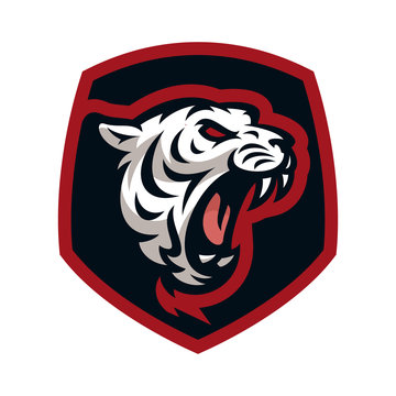 Tiger vector icon logo mascot illustration
