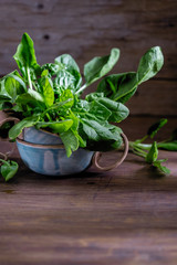 green fresh bunch of spinach in a beautiful cup on a wooden background