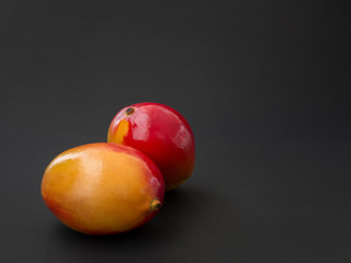 Two mangoes fruits on the dark background. Minimalistic concept