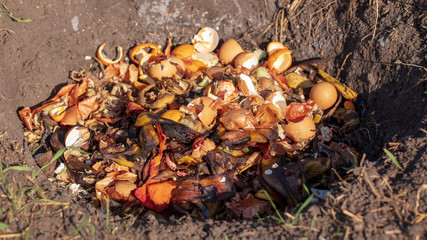Garbage food waste in a ground pit in nature