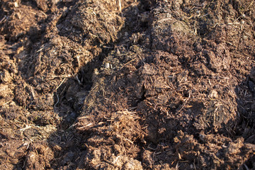 Fertilizer from manure as an abstract background