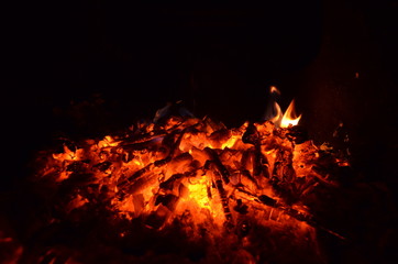 Burning firewood in the fireplace close up