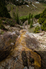 Bachlauf Tirol