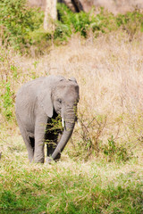 Voyage Afrique