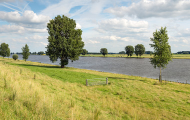 Fototapeta na wymiar Dutch river Bergsche Maas