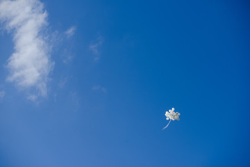 Blue sky, white balon © ces