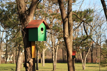 Picture of bird feeders in the park.