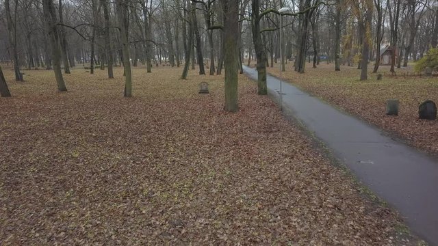 Old Cemetety Lielie Kapi Riga Latvia city aerial drone view 4K UHD video