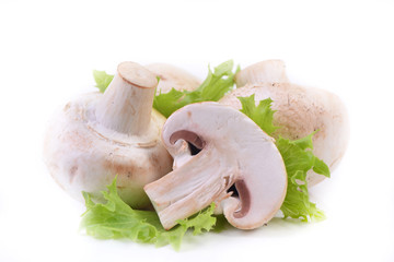 Mushrooms champignon