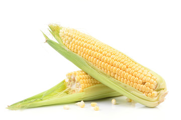 Fresh corn
