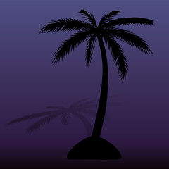 Island at night. Black silhouette of palm tree, with shadow of dark blue background,