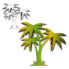 Coloring three palms, drawing on white background,