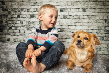 verlass auf den Hund