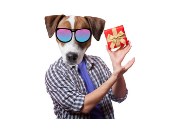 An anthropomorphic dog with present box, white background.