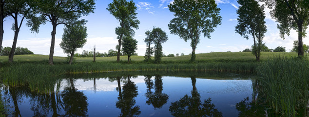 countryside pond with poplars trees in spring