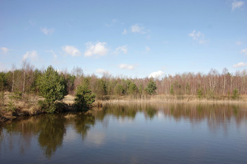 forest lake