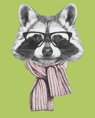 Portrait of Raccoon with glasses and scarf,  hand-drawn illustration