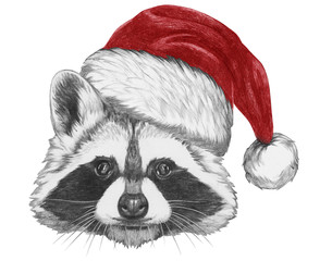 Portrait of Raccoon with Santa hat,  hand-drawn illustration