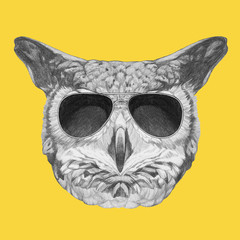 Portrait of Owl with sunglasses,  hand-drawn illustration