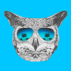 Portrait of Owl with mirrored sunglasses,  hand-drawn illustration