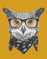 Portrait of Owl with glasses and scarf,  hand-drawn illustration