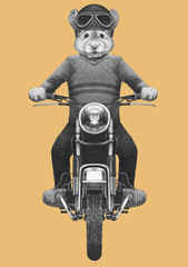 Mouse rides motorcycle, hand-drawn illustration