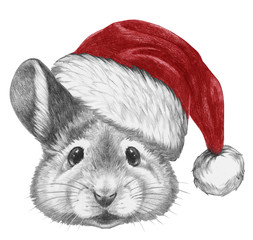 Portrait of Mouse with Santa hat, hand-drawn illustration