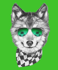 Portrait of Wolf with sunglasses and scarf,  hand-drawn illustration