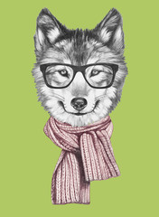 Portrait of Wolf with glasses and scarf,  hand-drawn illustration