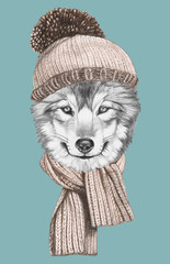 Portrait of Wolf with scarf and hat,  hand-drawn illustration