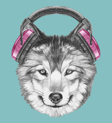 Portrait of Wolf with headphones,  hand-drawn illustration
