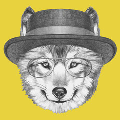 Portrait of Wolf with hat,  hand-drawn illustration