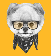 Portrait of Pomeranian with glasses and scarf,  hand-drawn illustration
