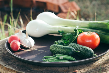 Vegetables on a difference on a background of greens
