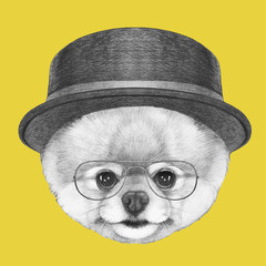 Portrait of Pomeranian with hat,  hand-drawn illustration