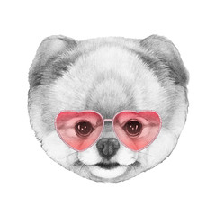 Pomeranianin Love! Portrait of Pomeranianin with sunglasses, hand-drawn illustration