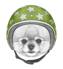 Portrait of Pomeranian with helmet,  hand-drawn illustration