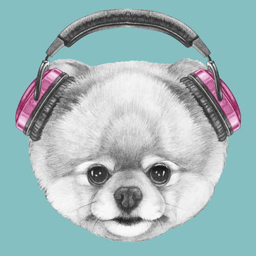 Portrait of Pomeranian with headphones, hand-drawn illustration