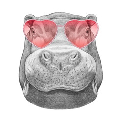 Hippo in Love! Portrait of hippopotamus with sunglasses, hand-drawn illustration